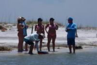 2020 06 13 GCO Ship Island Run (68).jpg